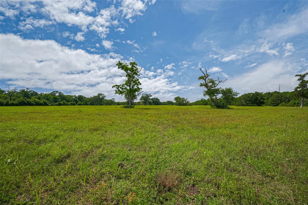 2015 County Road 740, Damon, Texas image 12