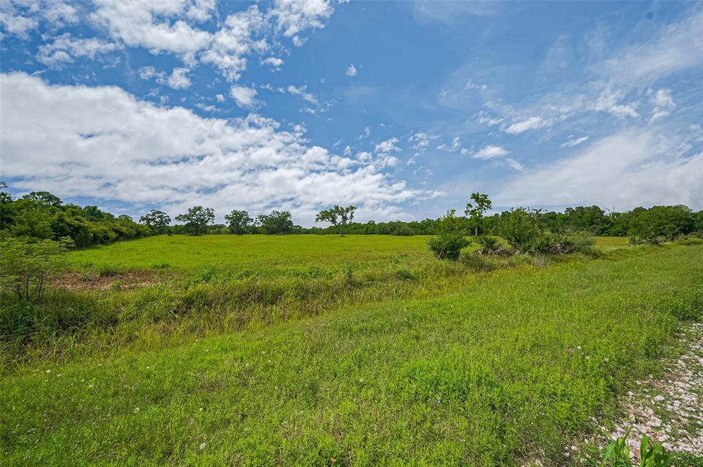 2015 County Road 740, Damon, Texas image 5