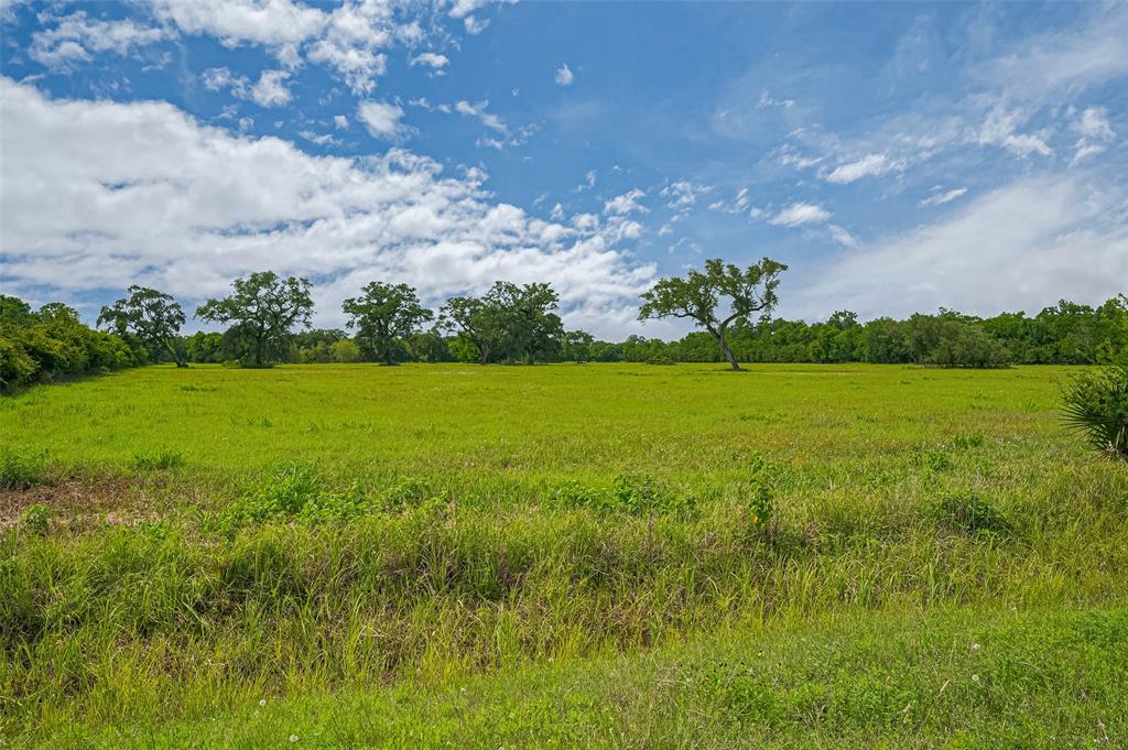 2015 County Road 740, Damon, Texas image 7