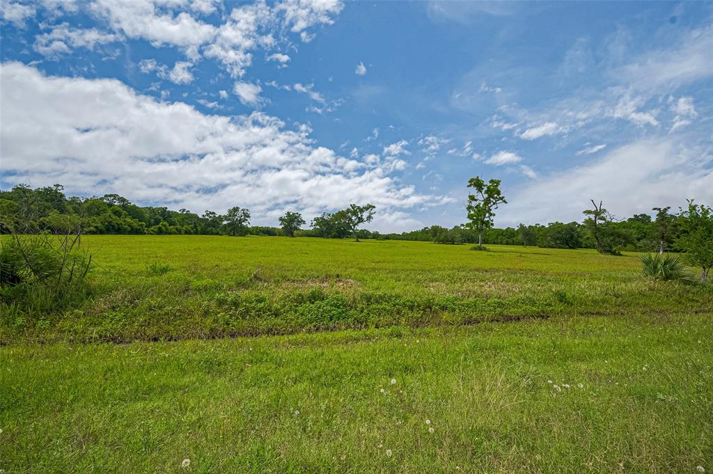 2015 County Road 740, Damon, Texas image 9