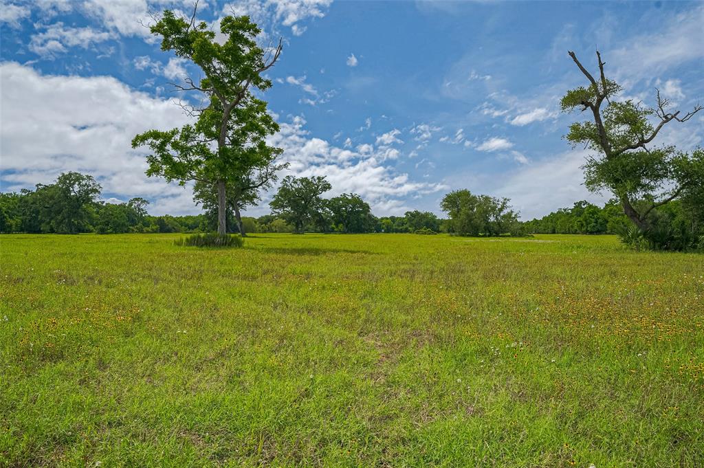 2015 County Road 740, Damon, Texas image 16