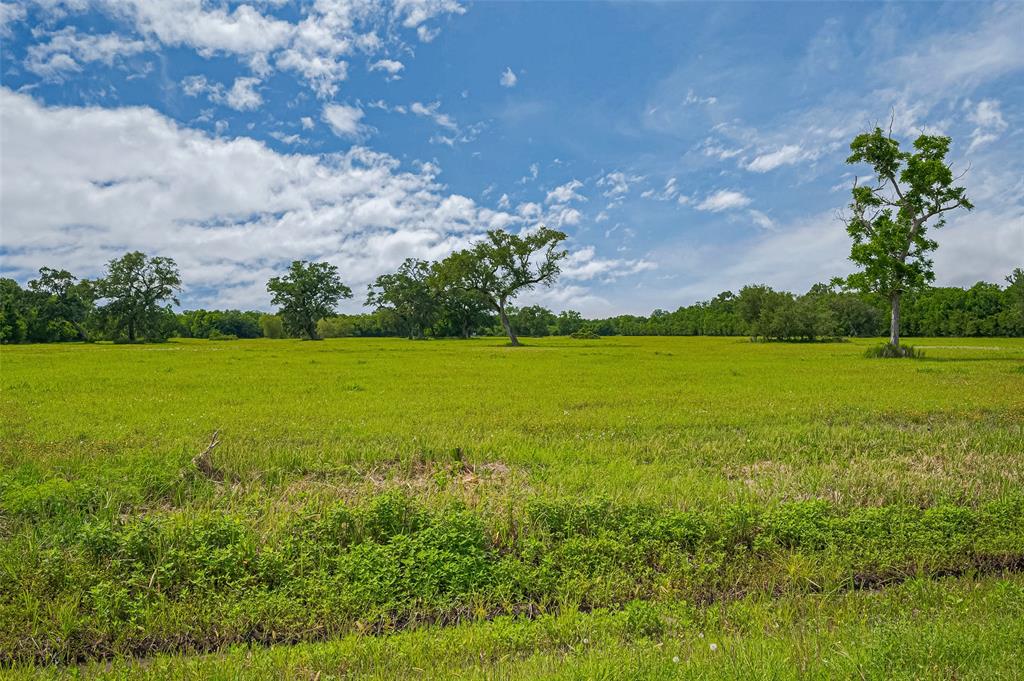 2015 County Road 740, Damon, Texas image 10