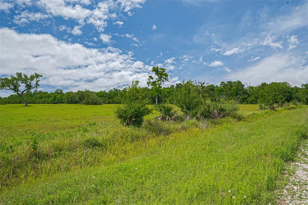 2015 County Road 740, Damon, Texas image 8