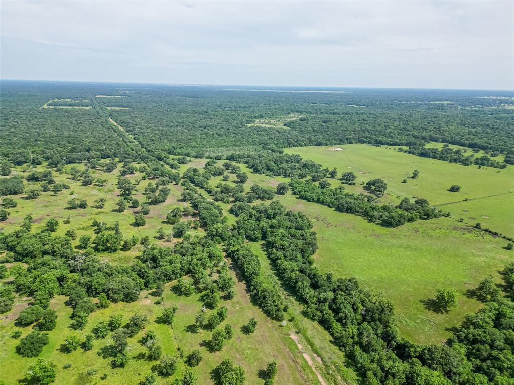 2015 County Road 740, Damon, Texas image 32