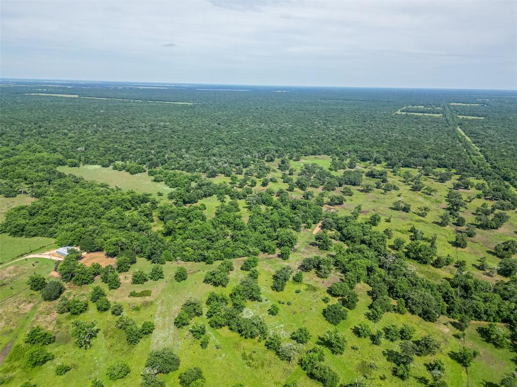 2015 County Road 740, Damon, Texas image 31