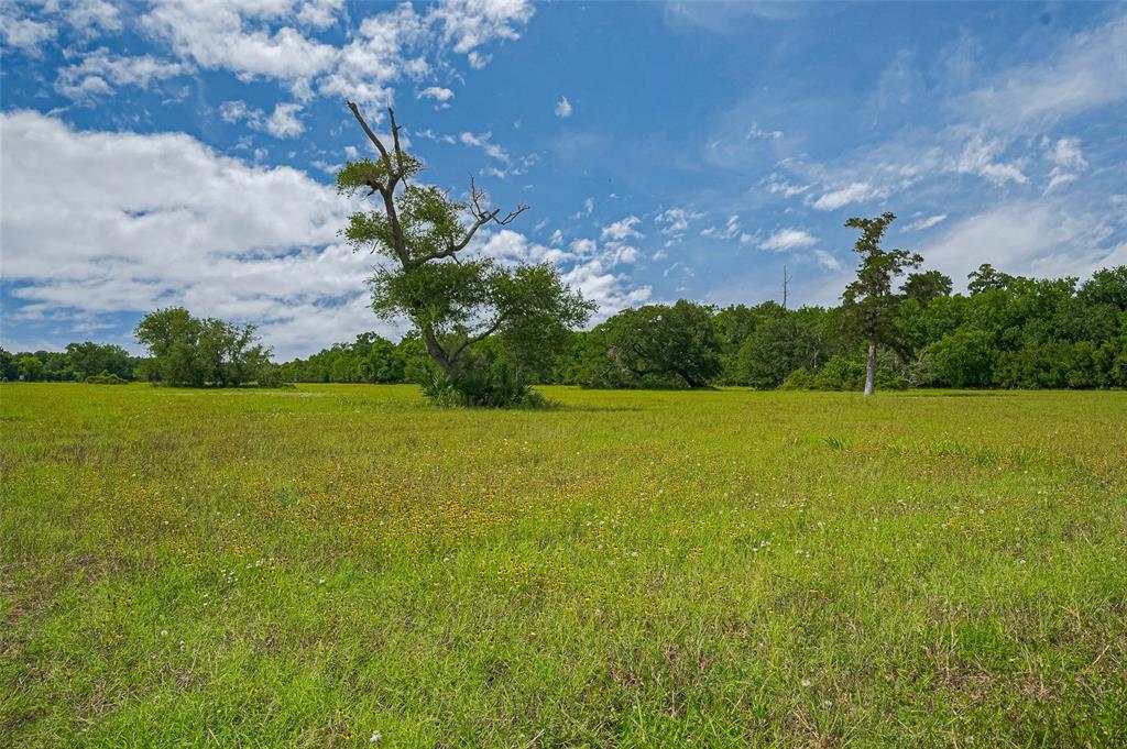 2015 County Road 740, Damon, Texas image 15