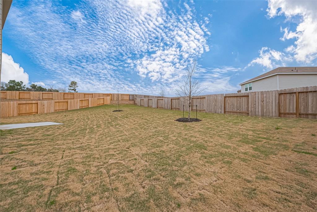 423 Dalloway Street, Conroe, Texas image 5