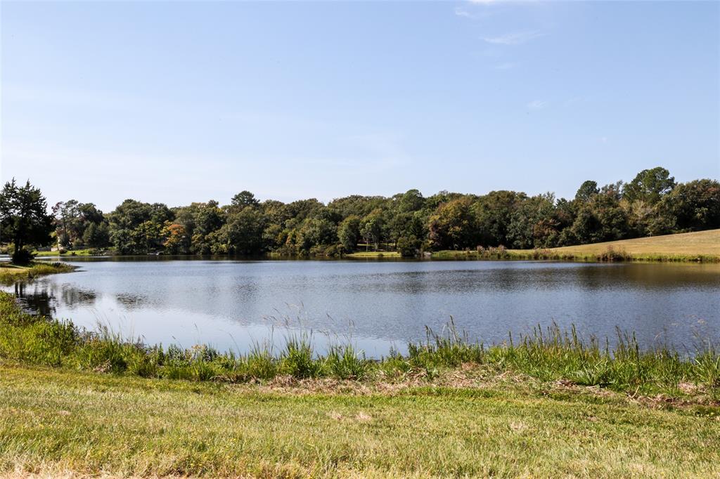 00 Meadowood Drive, Hilltop Lakes, Texas image 14