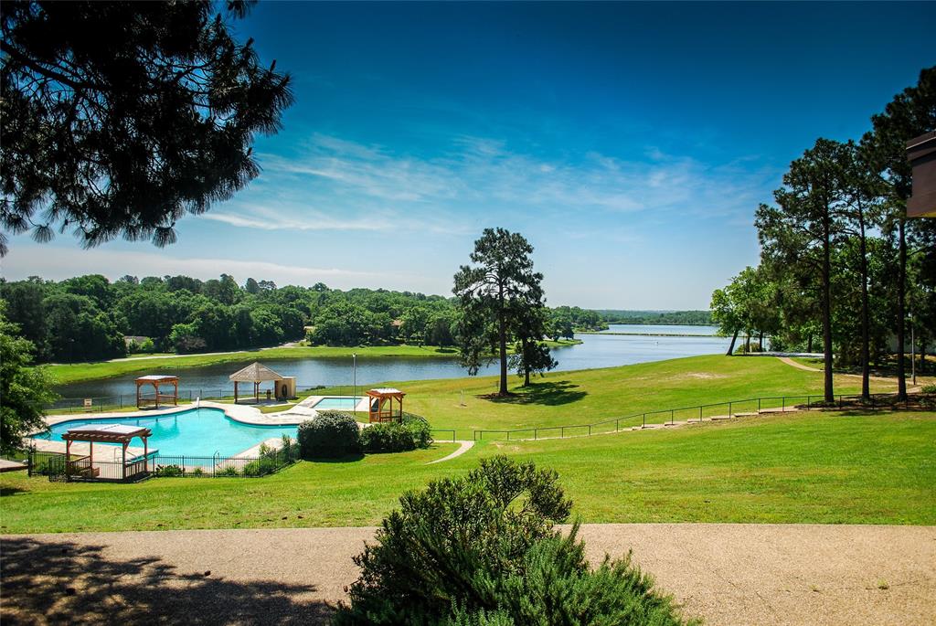 00 Meadowood Drive, Hilltop Lakes, Texas image 8