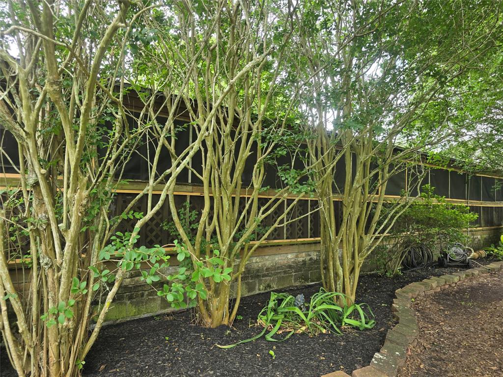 426 County Road 6052, Dayton, Texas image 24