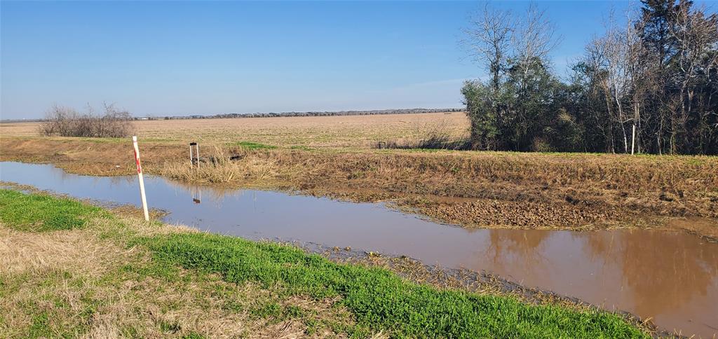 County Road 168, Alvin, Texas image 19