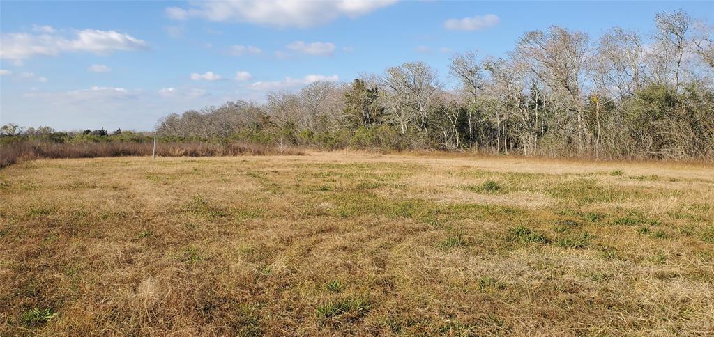 County Road 168, Alvin, Texas image 5