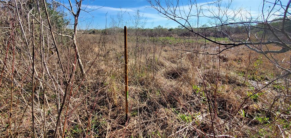 County Road 168, Alvin, Texas image 15