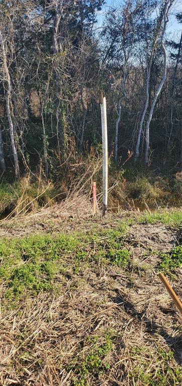 County Road 168, Alvin, Texas image 16