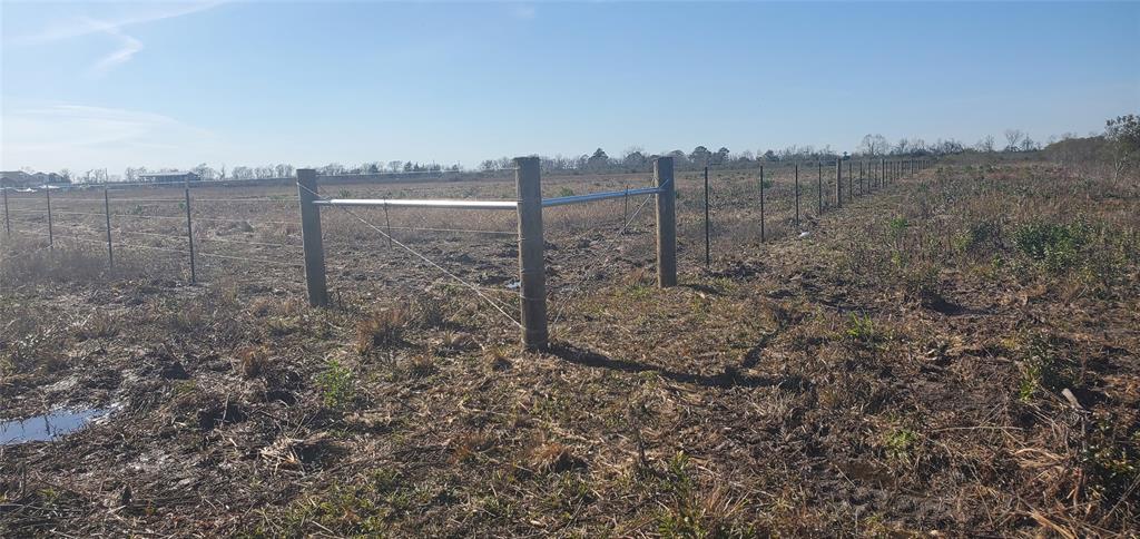 County Road 168, Alvin, Texas image 12