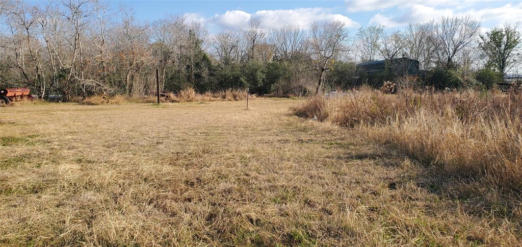 County Road 168, Alvin, Texas image 4