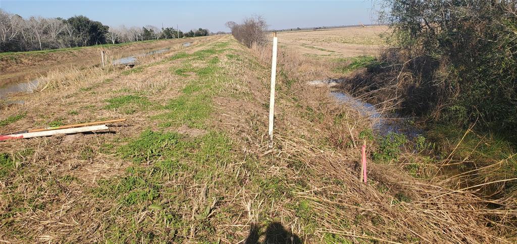 County Road 168, Alvin, Texas image 17