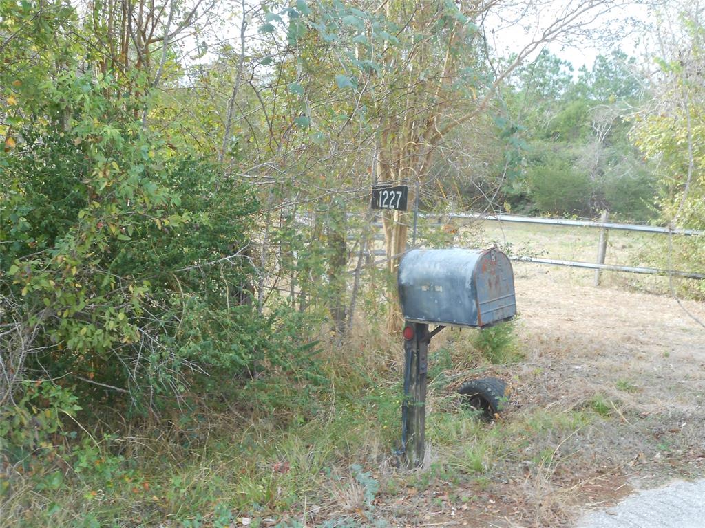 1227 County Road 324 Lights, Navasota, Texas image 3