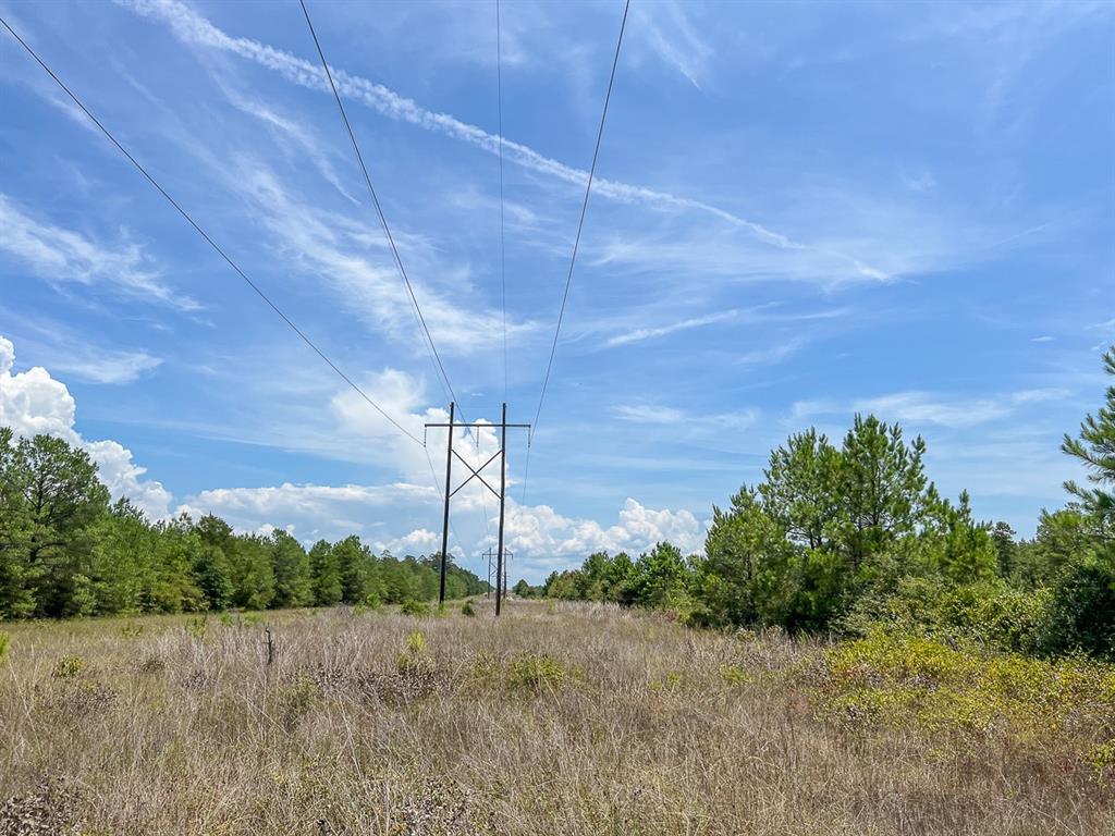 Muril, Matagorda, Texas image 7