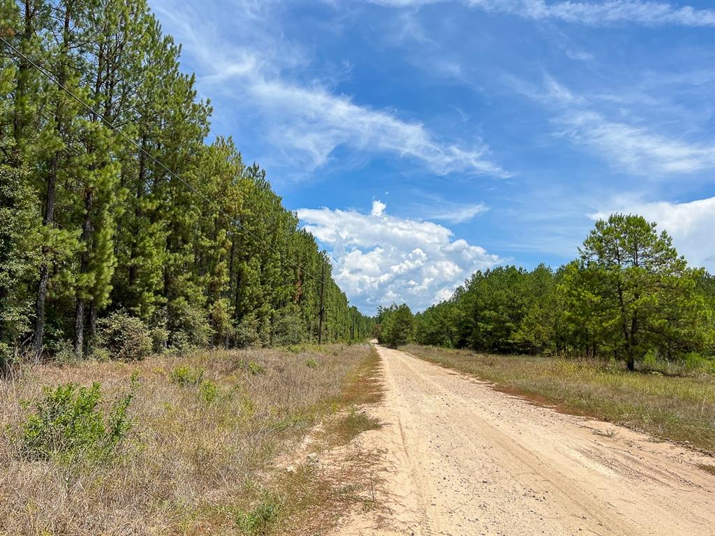 Muril, Matagorda, Texas image 5