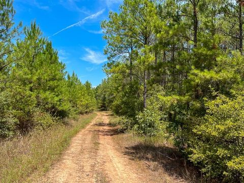 0 Lost Indian Camp Road Huntsville TX 77320
