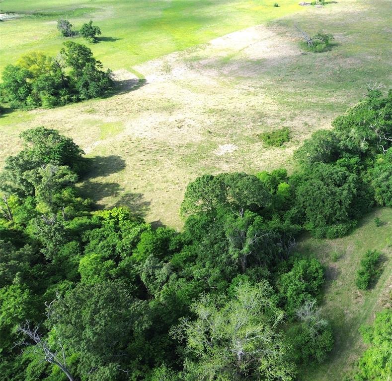TBD Fm 542, Oakwood, Texas image 8