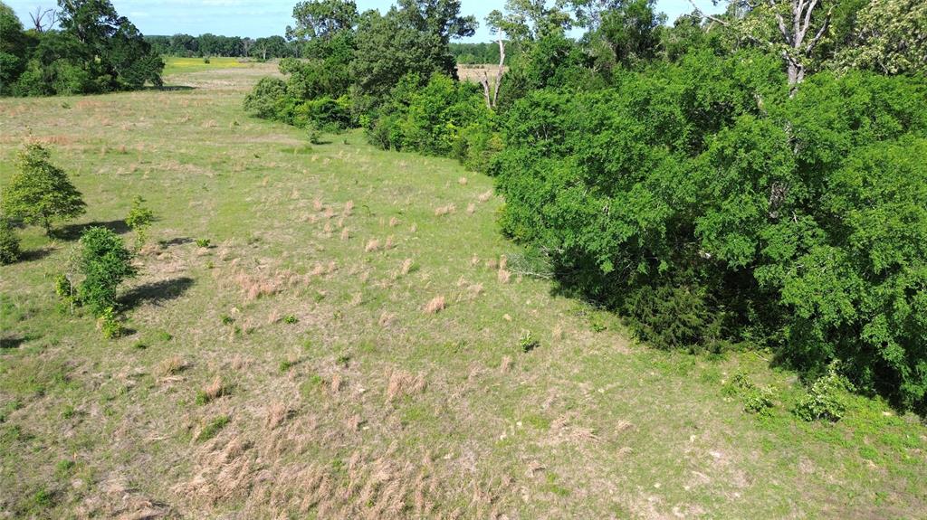 TBD Fm 542, Oakwood, Texas image 18