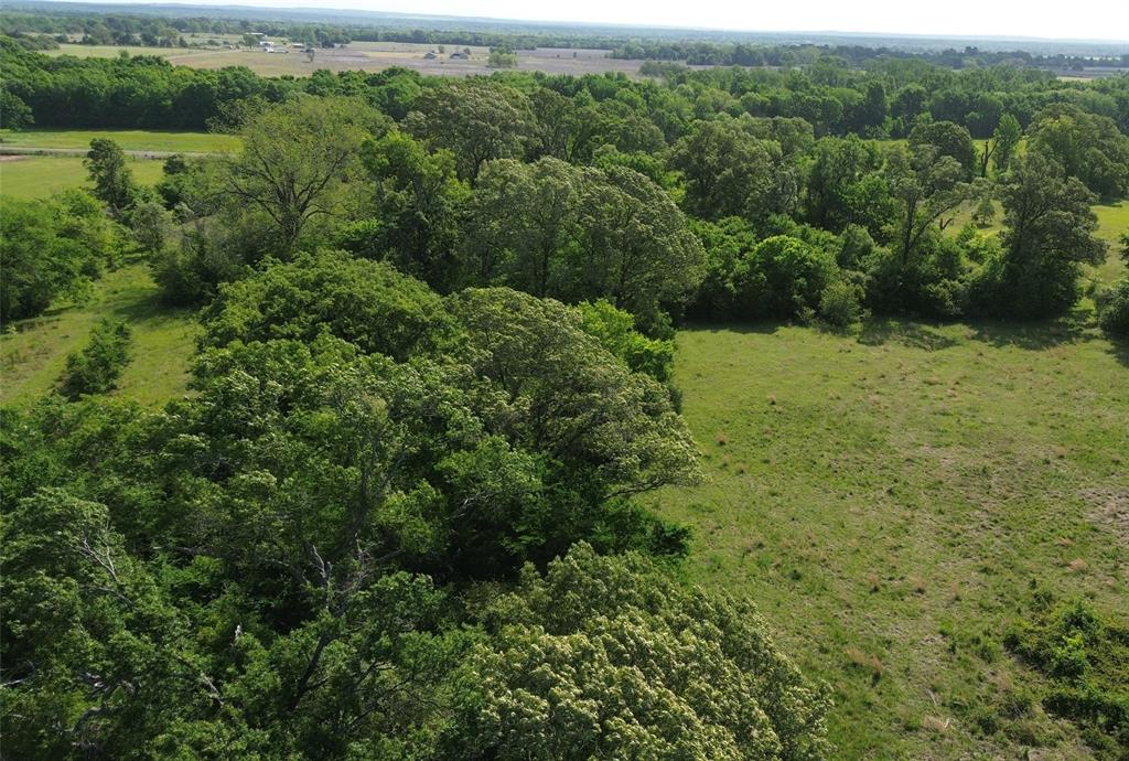 TBD Fm 542, Oakwood, Texas image 15