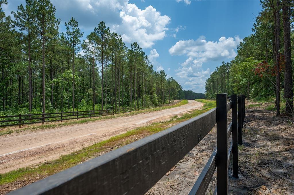 Tract 7A Timberland Branch Drive, Woodville, Texas image 7