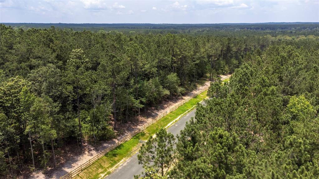 Tract 7A Timberland Branch Drive, Woodville, Texas image 9