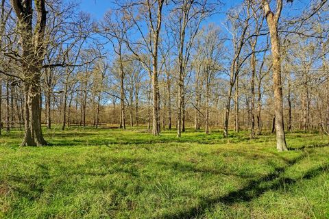 4515 Queen Anne Court Brookshire TX 77423