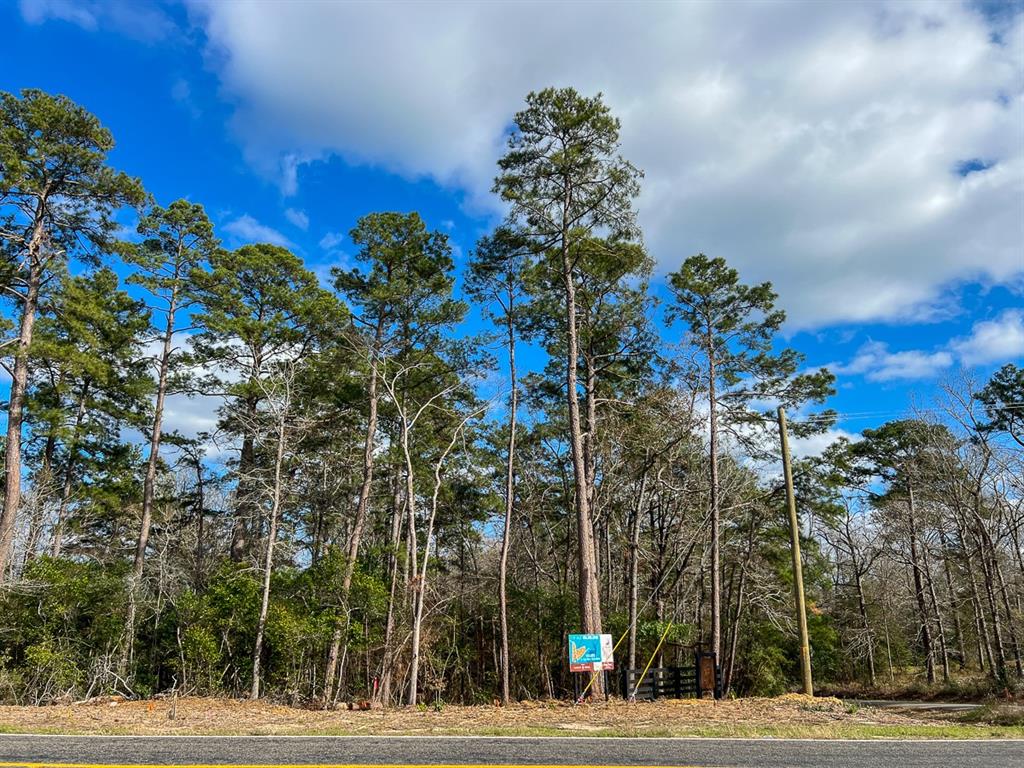 01 Fm 350, Livingston, Texas image 13