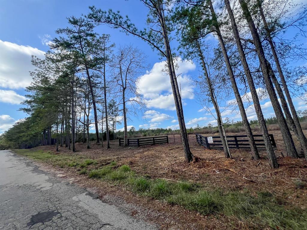 01 Fm 350, Livingston, Texas image 27