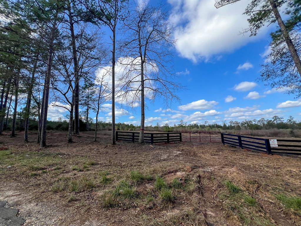 01 Fm 350, Livingston, Texas image 29