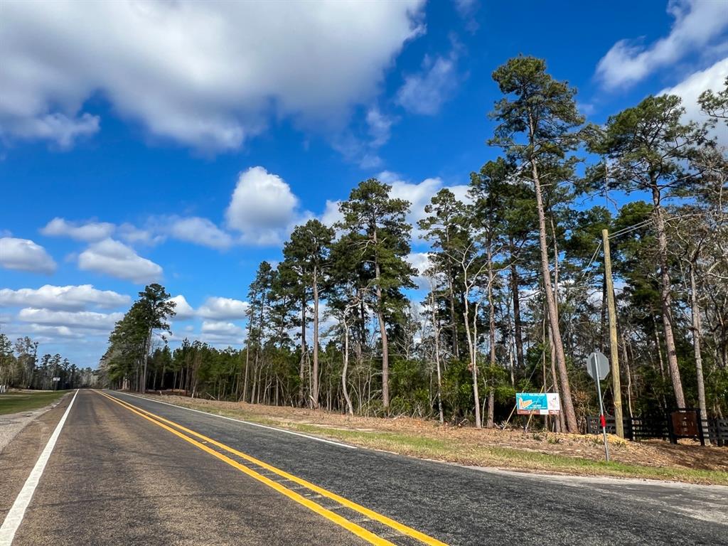 01 Fm 350, Livingston, Texas image 8