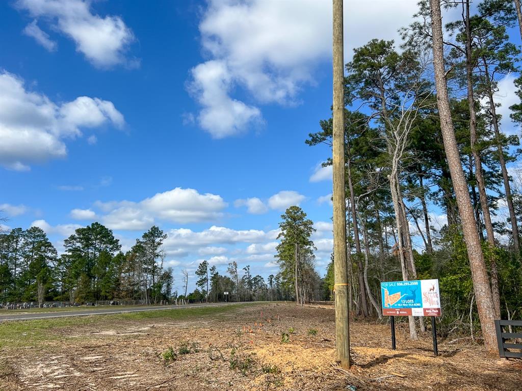 01 Fm 350, Livingston, Texas image 6