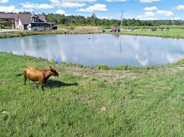 2210 Honey Bear, Orange, Texas image 35