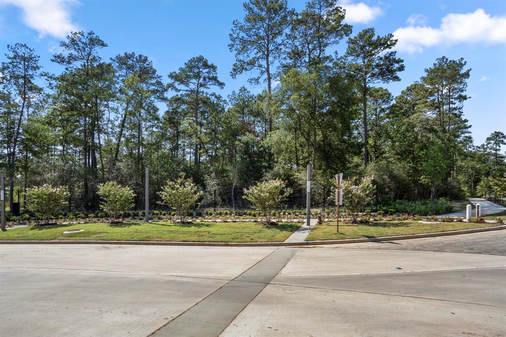 40422 Gerygone Lane, Magnolia, Texas image 26