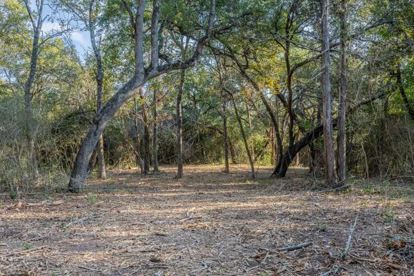 TBD Drake Lane-lot 12, Round Top, Texas image 3