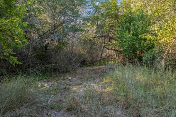 TBD Drake Lane-lot 12, Round Top, Texas image 4