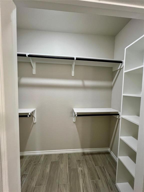 11765 White Cedar