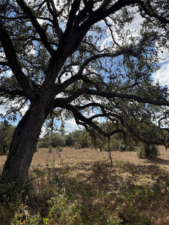 1293 Pintail Lane, Columbus, Texas image 11