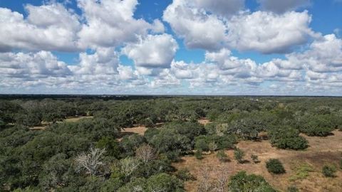 1293 Pintail Lane Columbus TX 78934