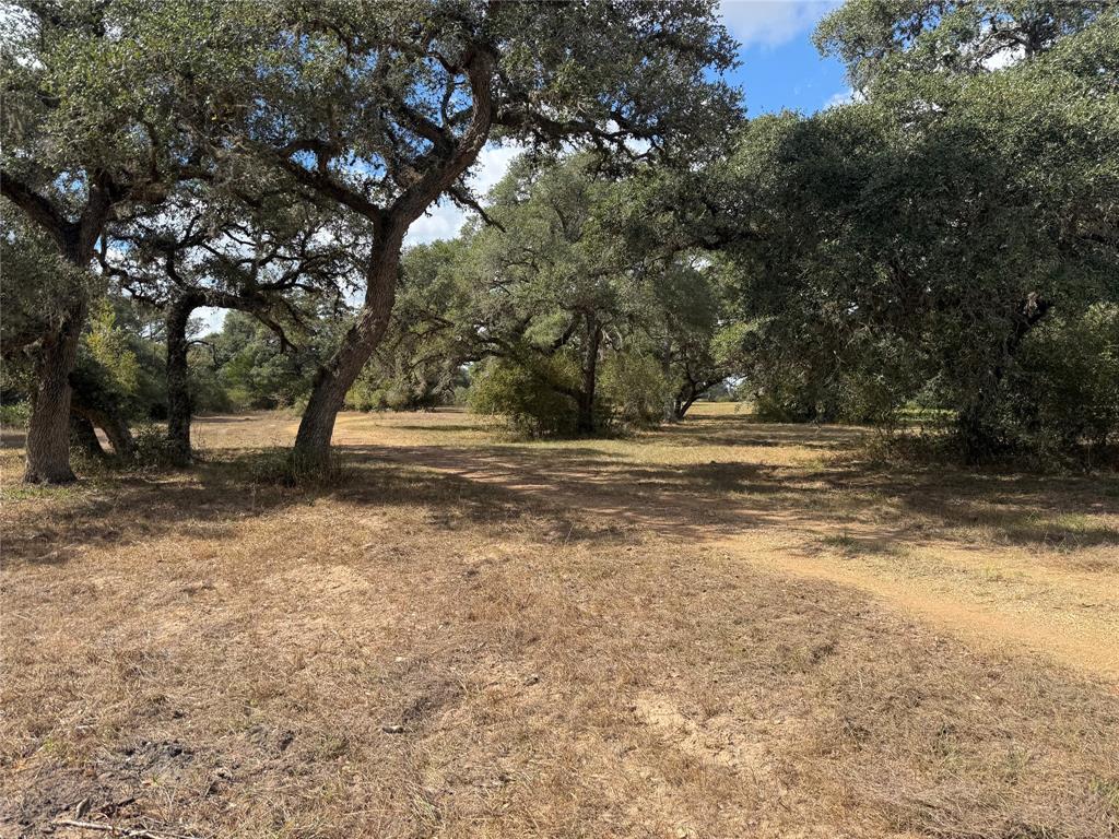 1293 Pintail Lane, Columbus, Texas image 9