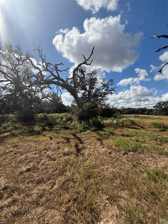 1293 Pintail Lane, Columbus, Texas image 13