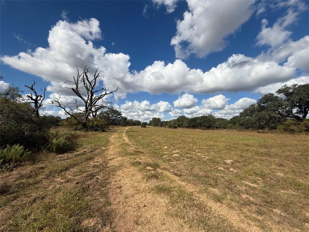 1293 Pintail Lane, Columbus, Texas image 4