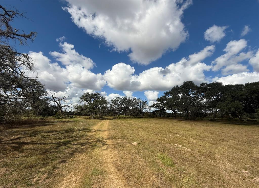 1293 Pintail Lane, Columbus, Texas image 8