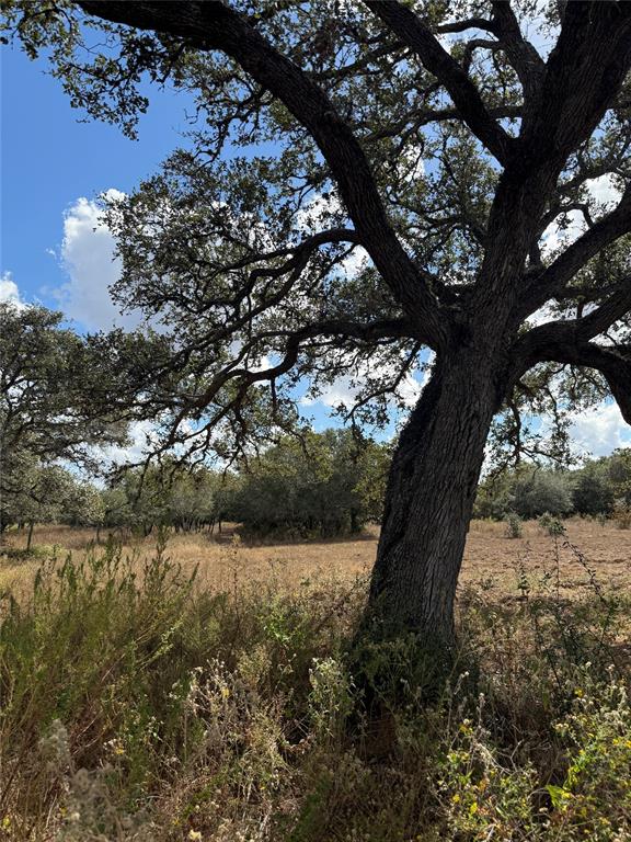 1293 Pintail Lane, Columbus, Texas image 10