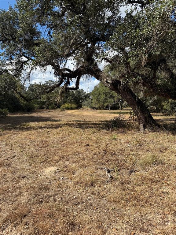 1293 Pintail Lane, Columbus, Texas image 15