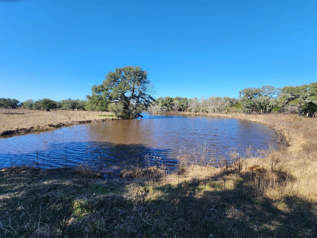 1293 Pintail Lane, Columbus, Texas image 6